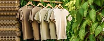 The Rise of Sustainable Fashion: How Eco-Friendly Brands Are Shaping the Future